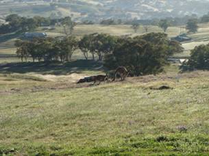 Click to enlarge image